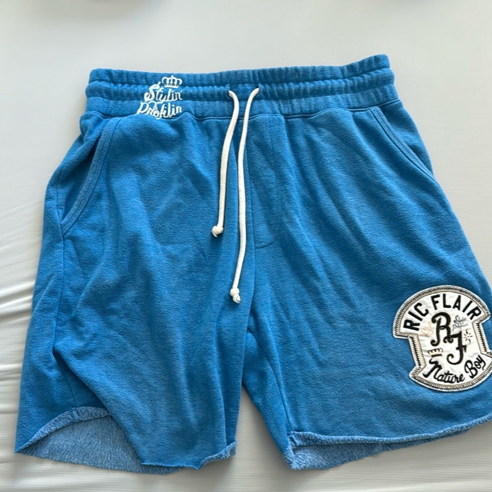 Roots of fight, Ric Flair Nature Boy Blue Shorts, Size M